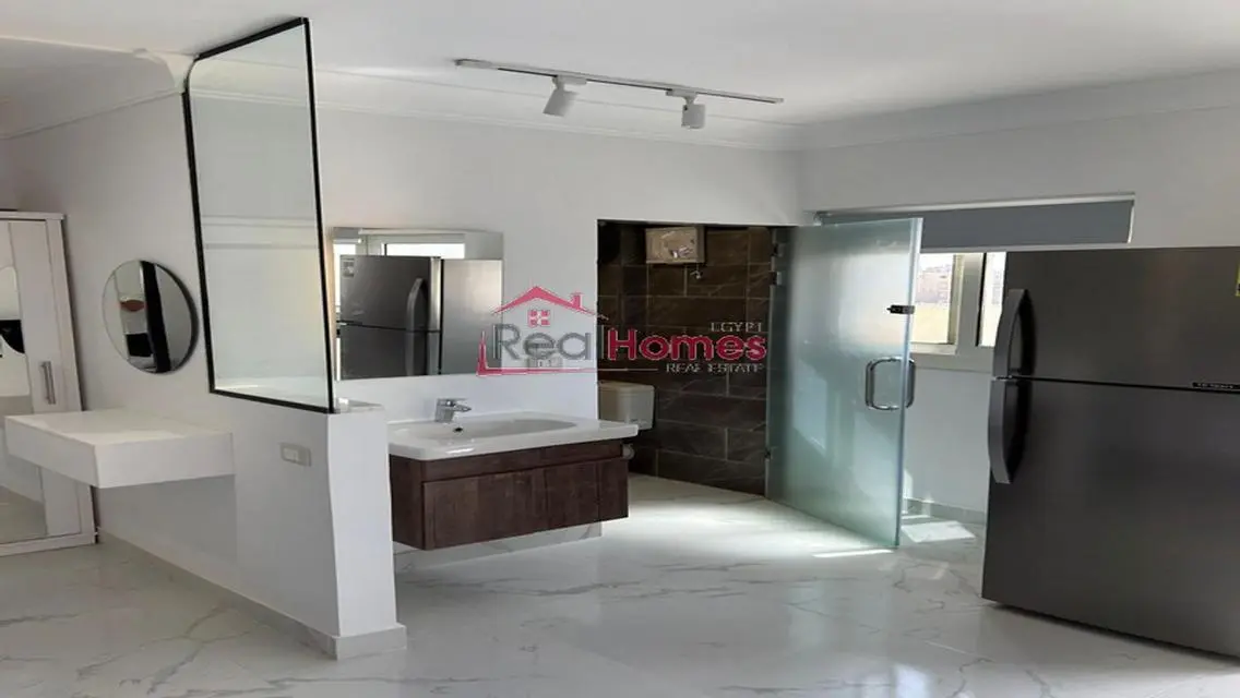 one bedroom modern nile view apartment