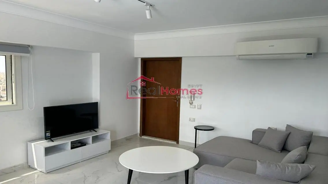 one bedroom modern nile view apartment