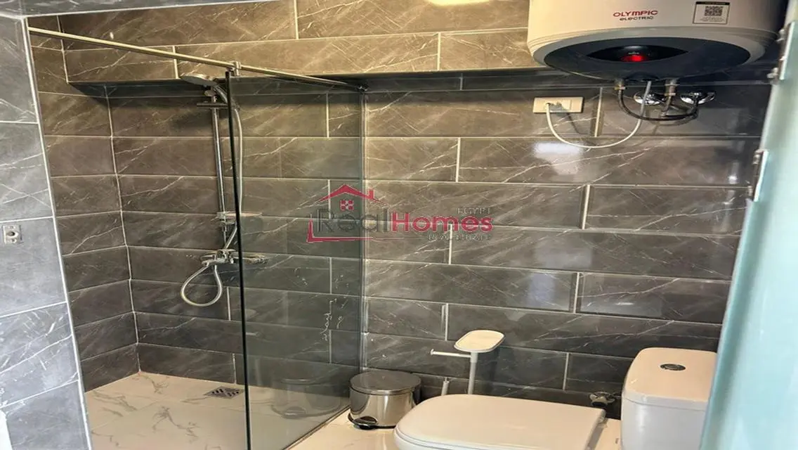 one bedroom modern nile view apartment