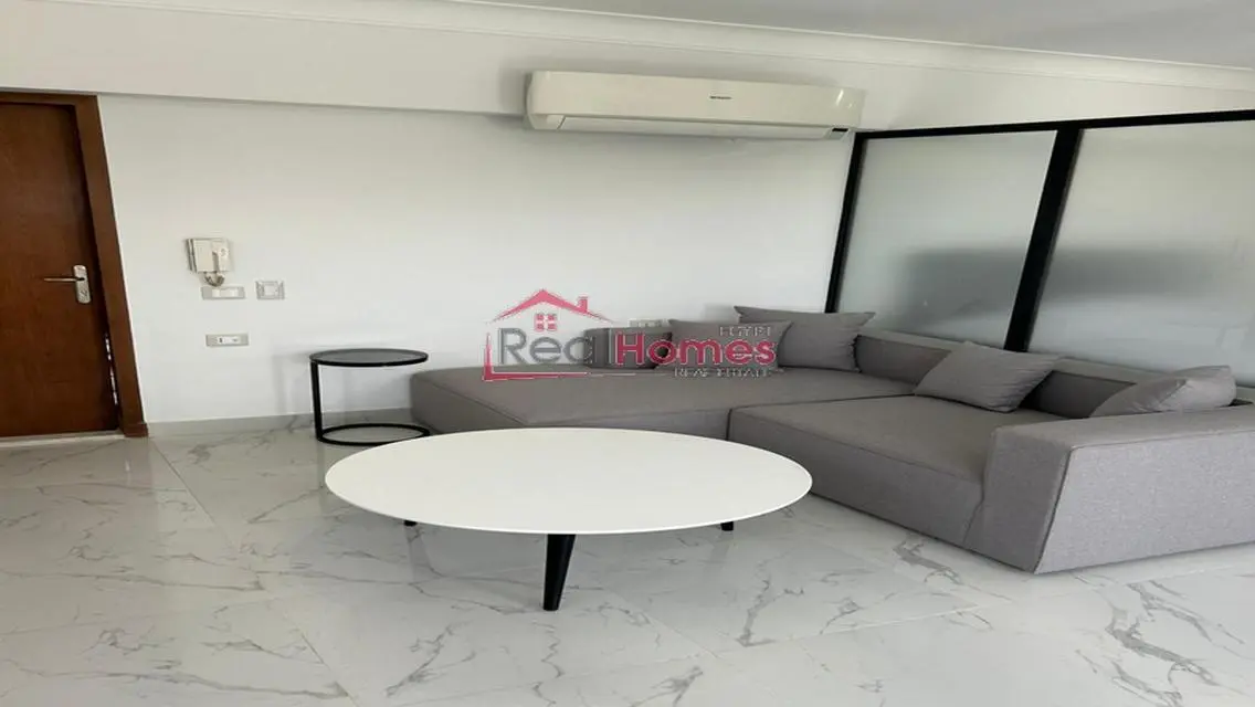 one bedroom modern nile view apartment