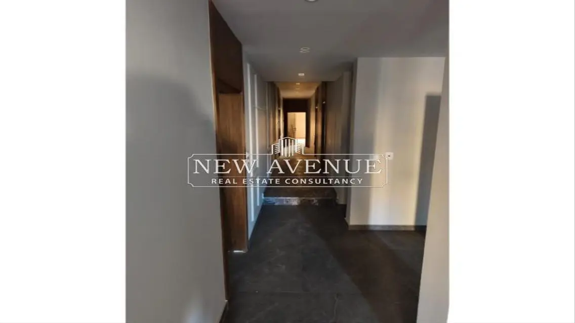 Delivered apartment fully finished typical floor