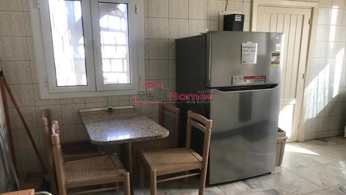 Unique one bedroom apartment nile view for rent