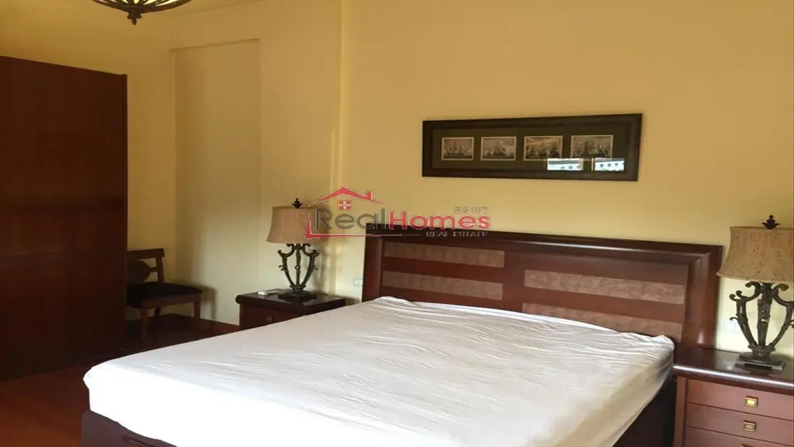 Elegant high ceiling renovated apartment  for rent