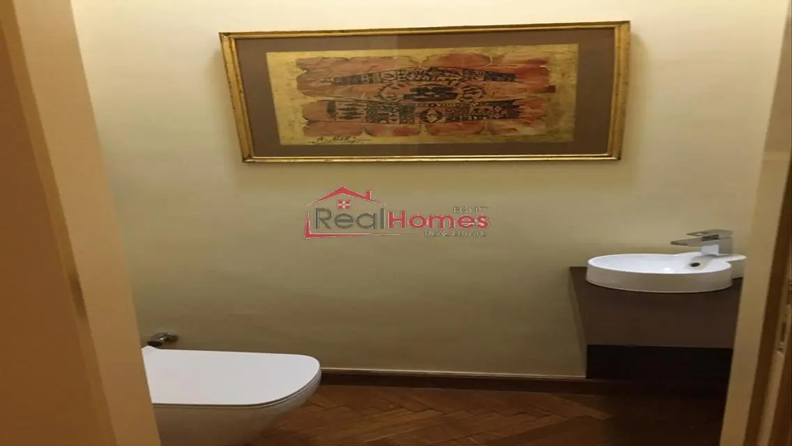 Elegant high ceiling renovated apartment  for rent