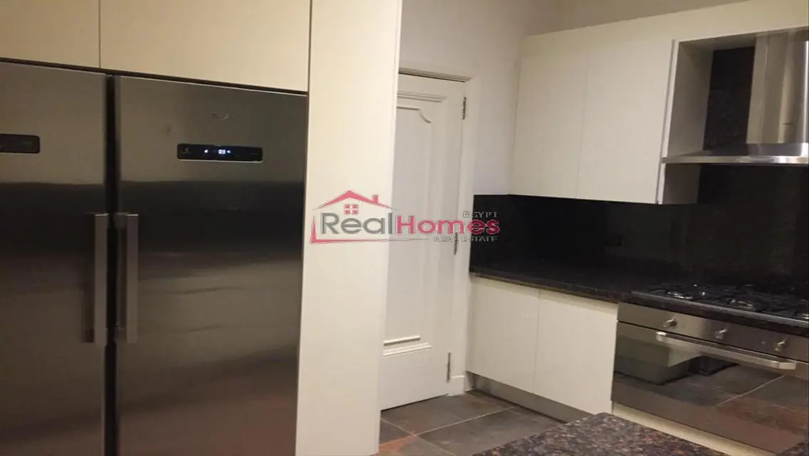 Elegant high ceiling renovated apartment  for rent