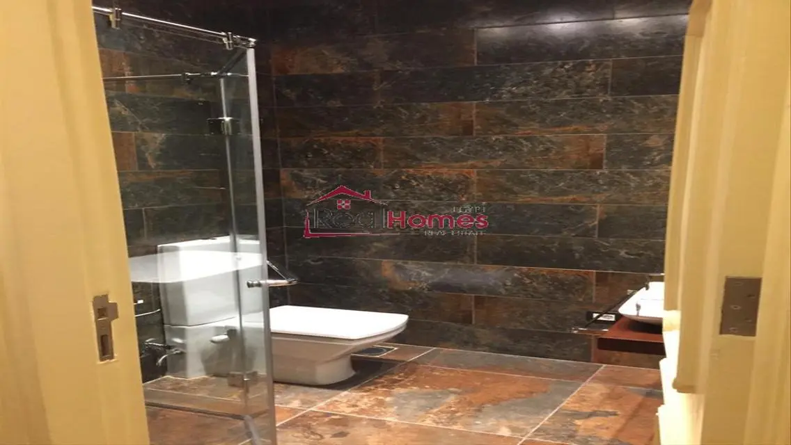 Elegant high ceiling renovated apartment  for rent