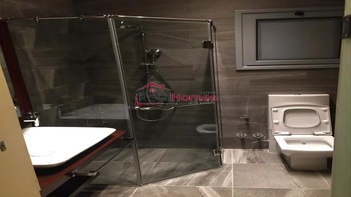 Elegant high ceiling renovated apartment  for rent