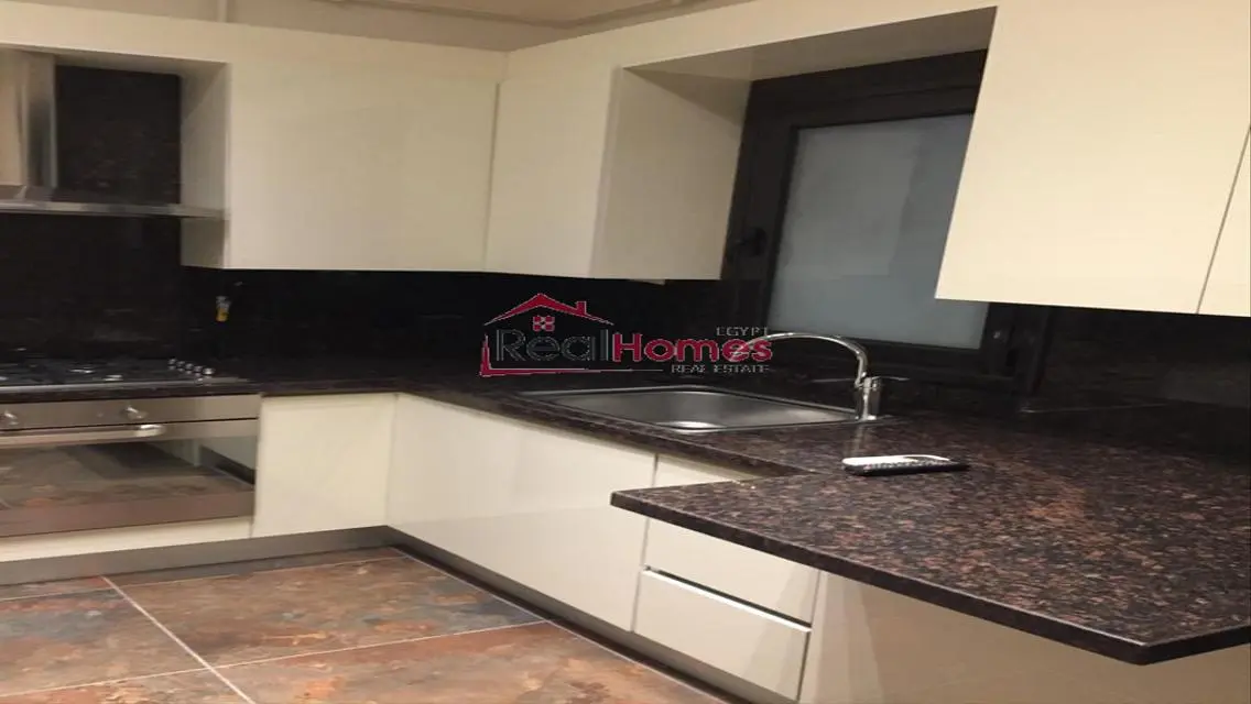 Elegant high ceiling renovated apartment  for rent
