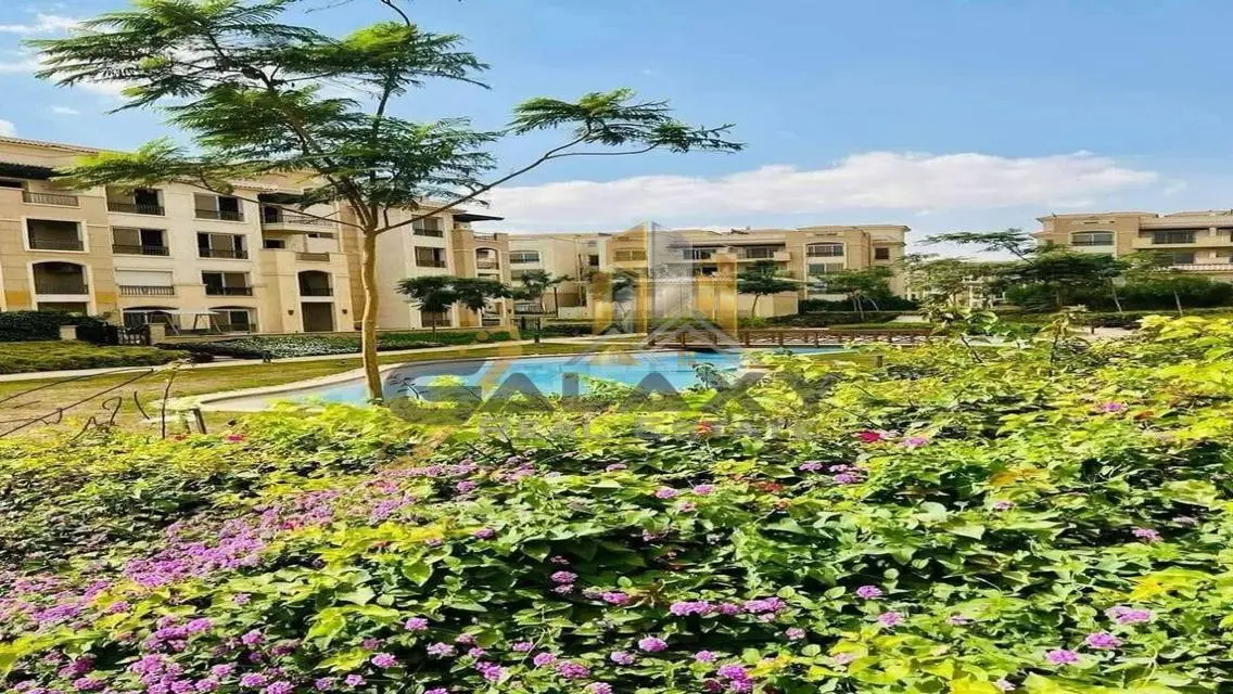 The Best Price Apartment | Prime Location | Stone