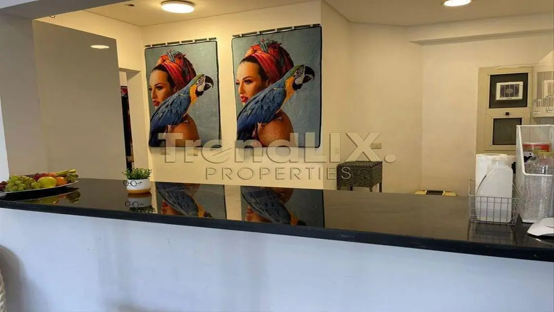 luxuries hotel apartment near AUC in Porto new cai