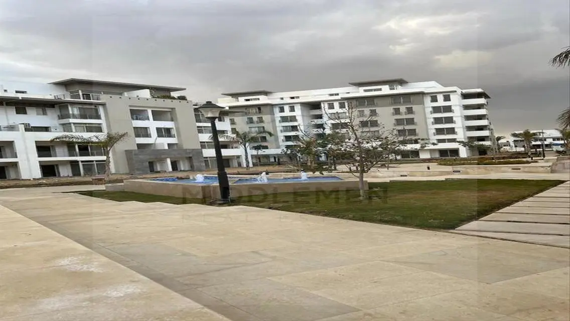 apartment  prime location , hyde park