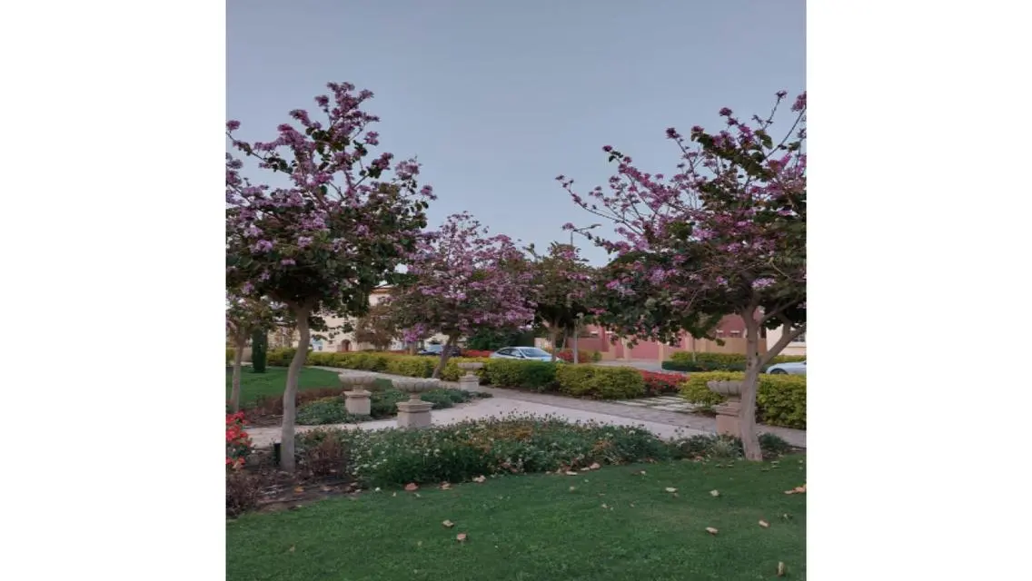 Apartment for sale in 5th Settlement compound 