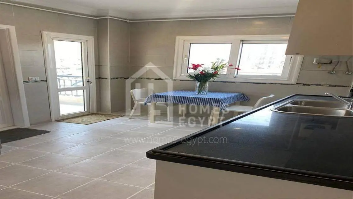 New Renovated Panoramic Nile View for Rent Zamalek