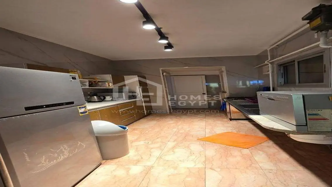 Nile and Gezira View Apartment For Rent in Zamalek