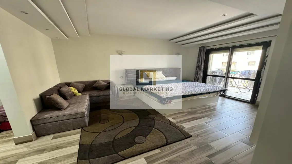 apartment super lux fully furnished in Eastown .