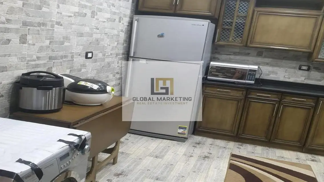 apartment super lux fully furnished in Eastown .