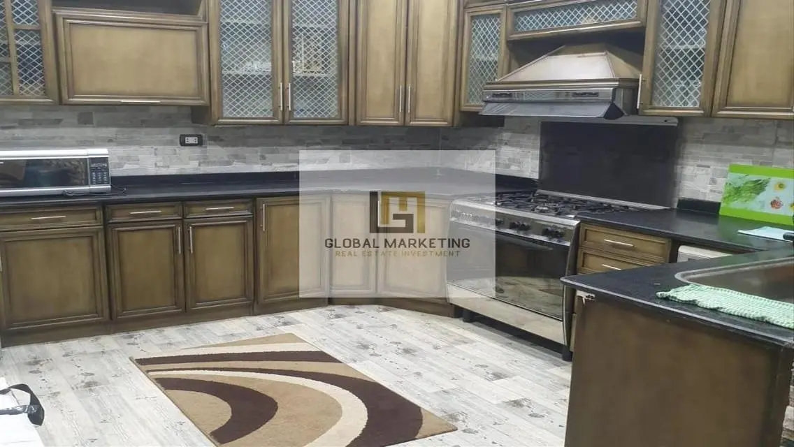 apartment super lux fully furnished in Eastown .