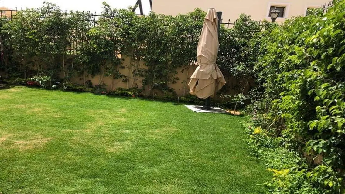 Townhouse Middle With The Cost Of The Launch