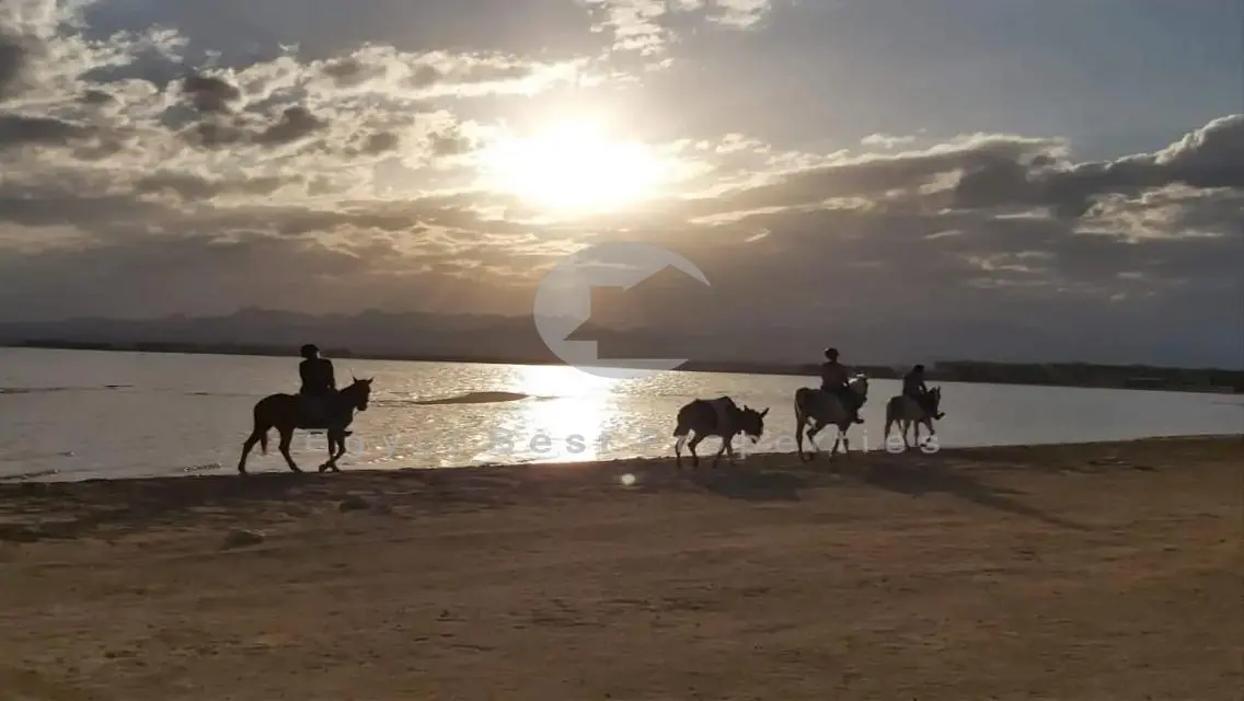 شاليه للبيع بالتقسيط في سوما باي في الغردقة