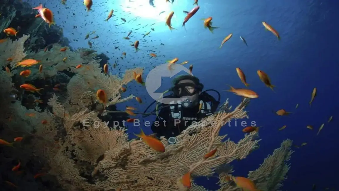 Stand Alone Villa For Sale In SomaBay Hurghada