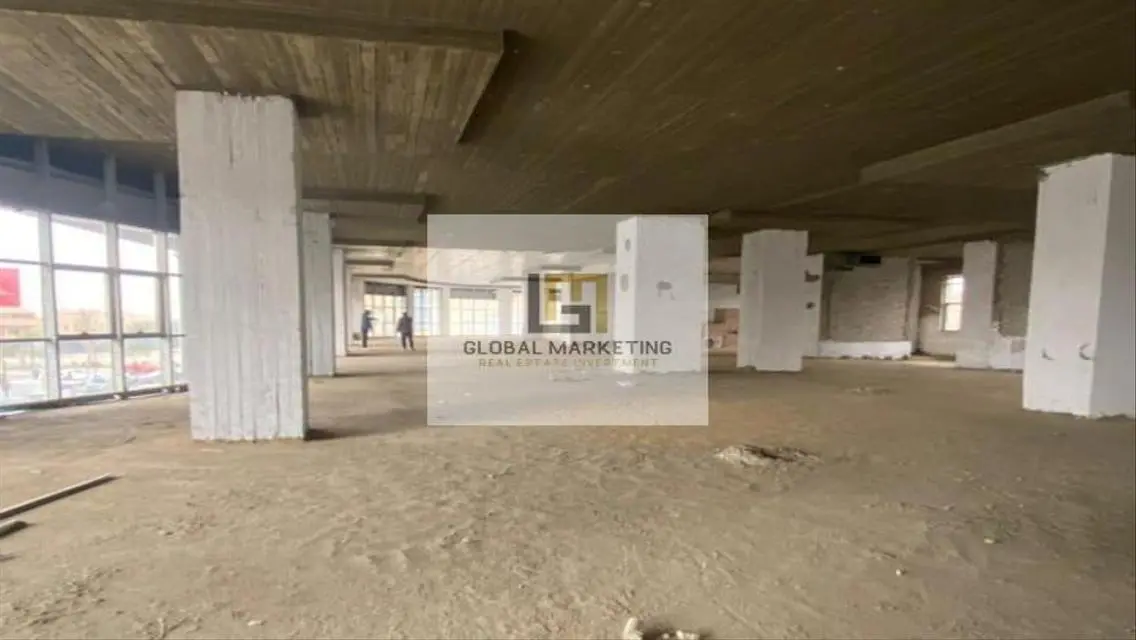 Office 1250m For Rent in Teseen Street