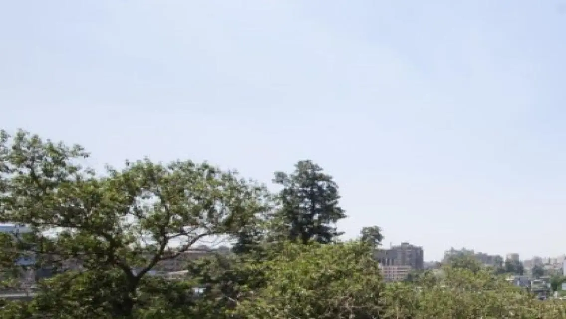 Apartment for sale in south Zamalek.