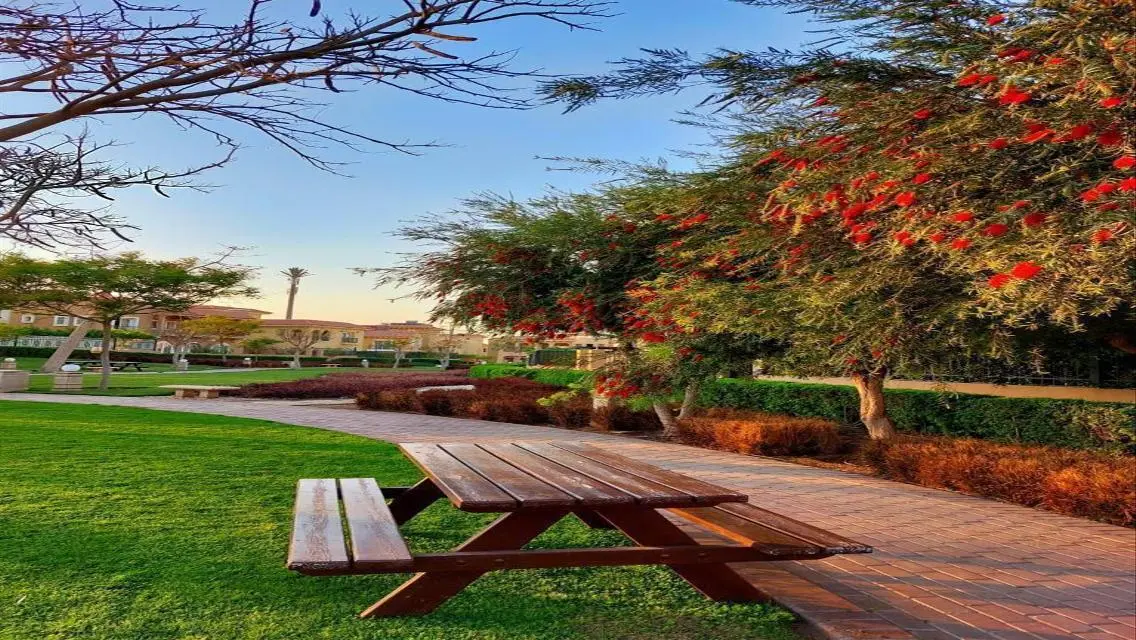 First-offering prices with only DP 5% Minutes AUC.