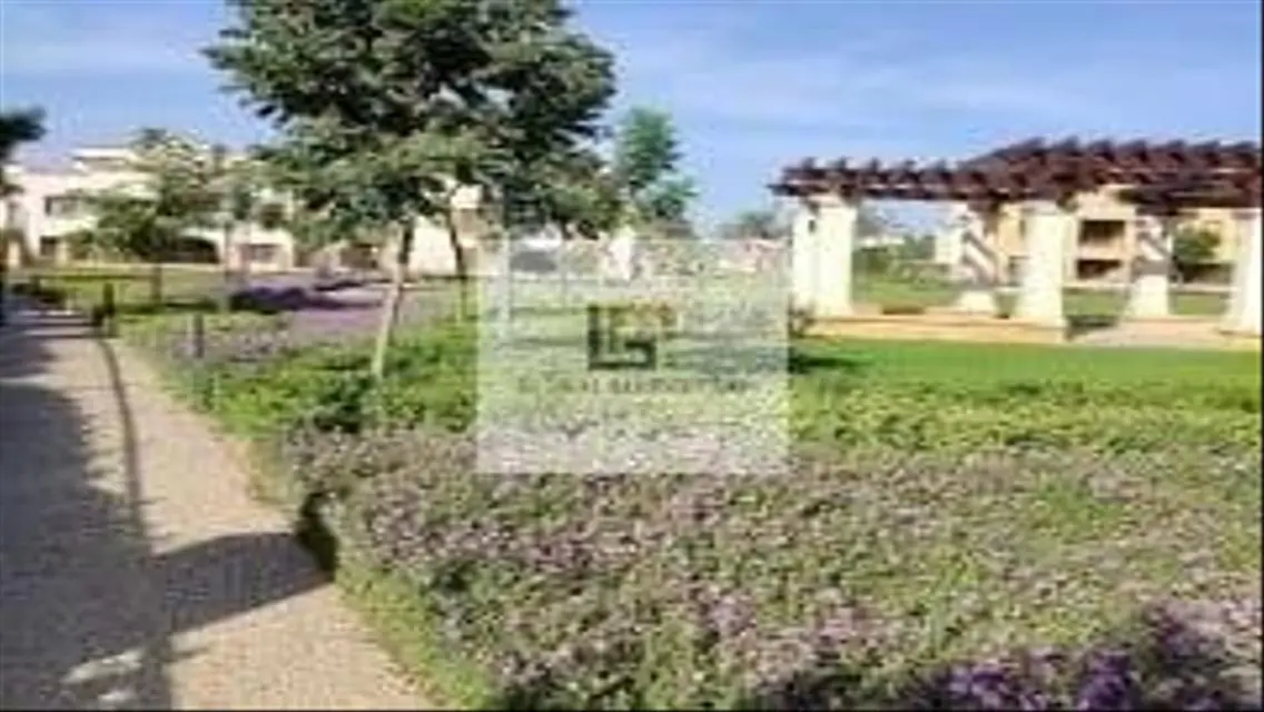 The most luxurious stand for rent in Mivida