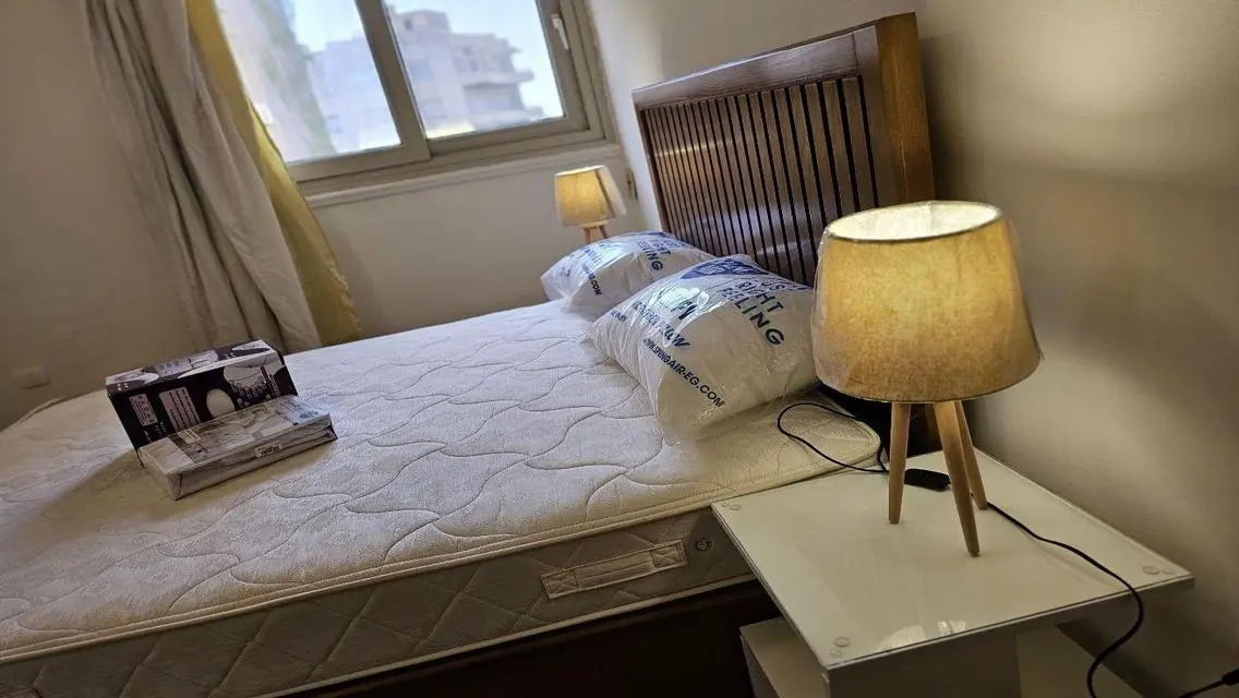 Modernly Furnished Apartment For Rent in Zamalek