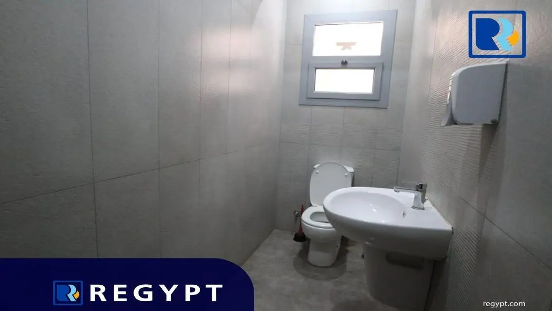 FURNISHED  GROUND FLOOR FOR RENT IN NEW MAADI