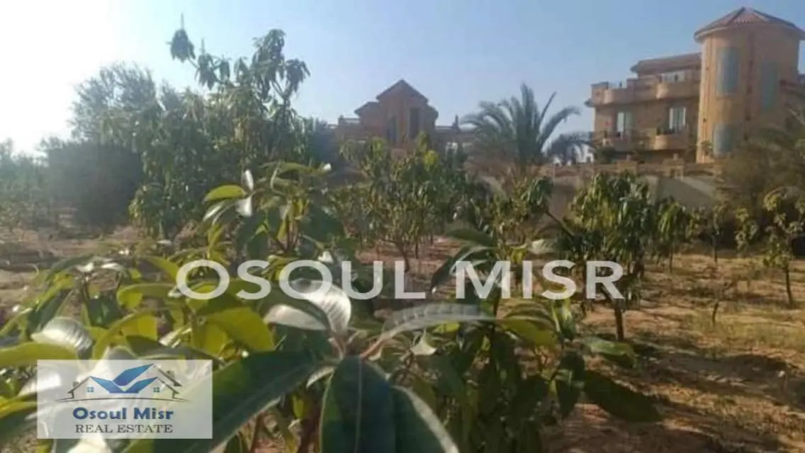 ارض مميزه جدا للبيع - 20 فدان - طريق مصر اسكندرية
