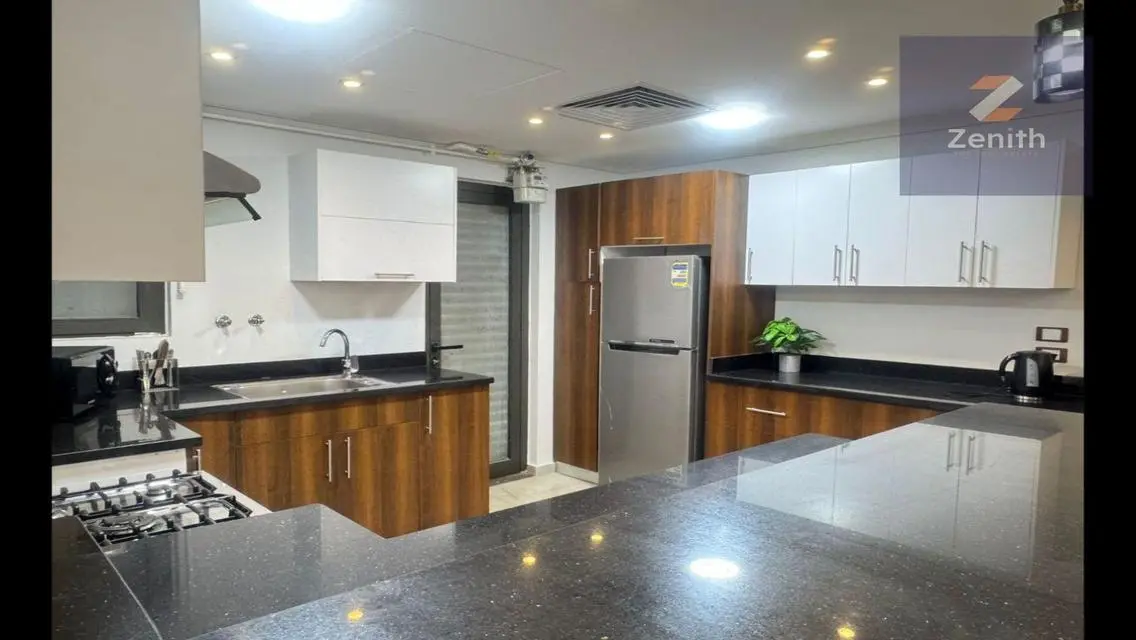 fully furnished apartment is located in Lake View