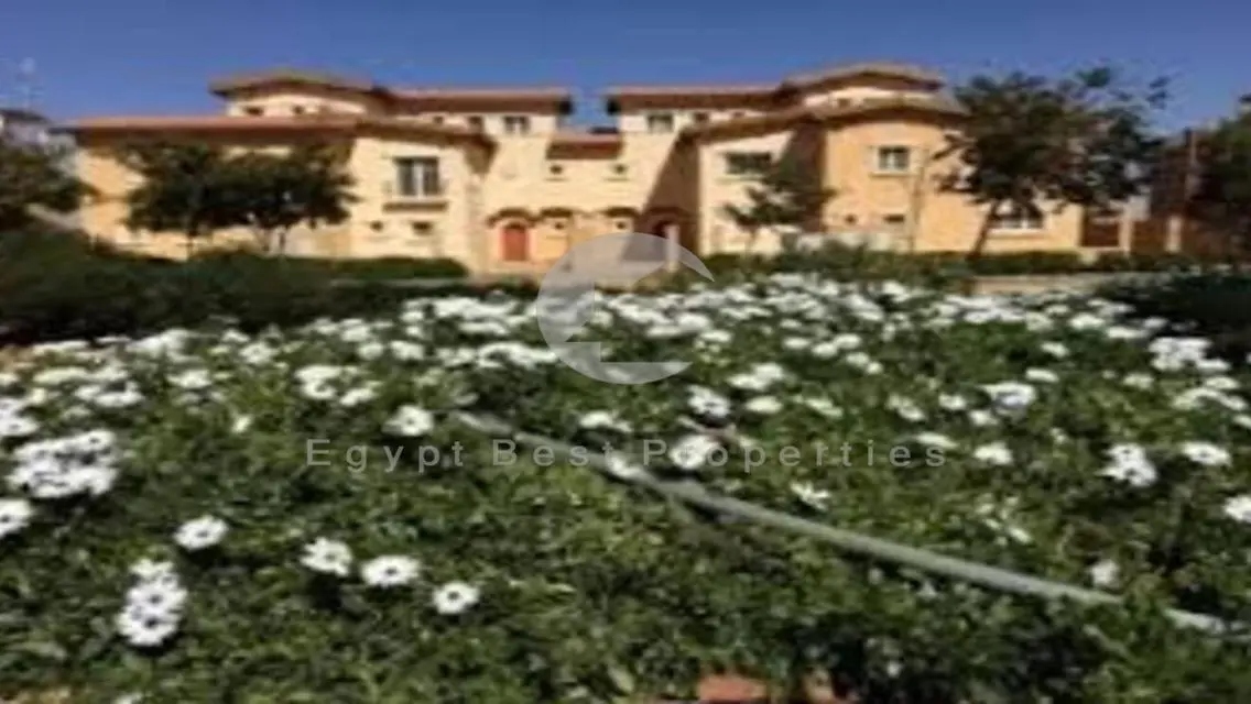 For Sale Twin House In Hyde Park Over 10 Year.