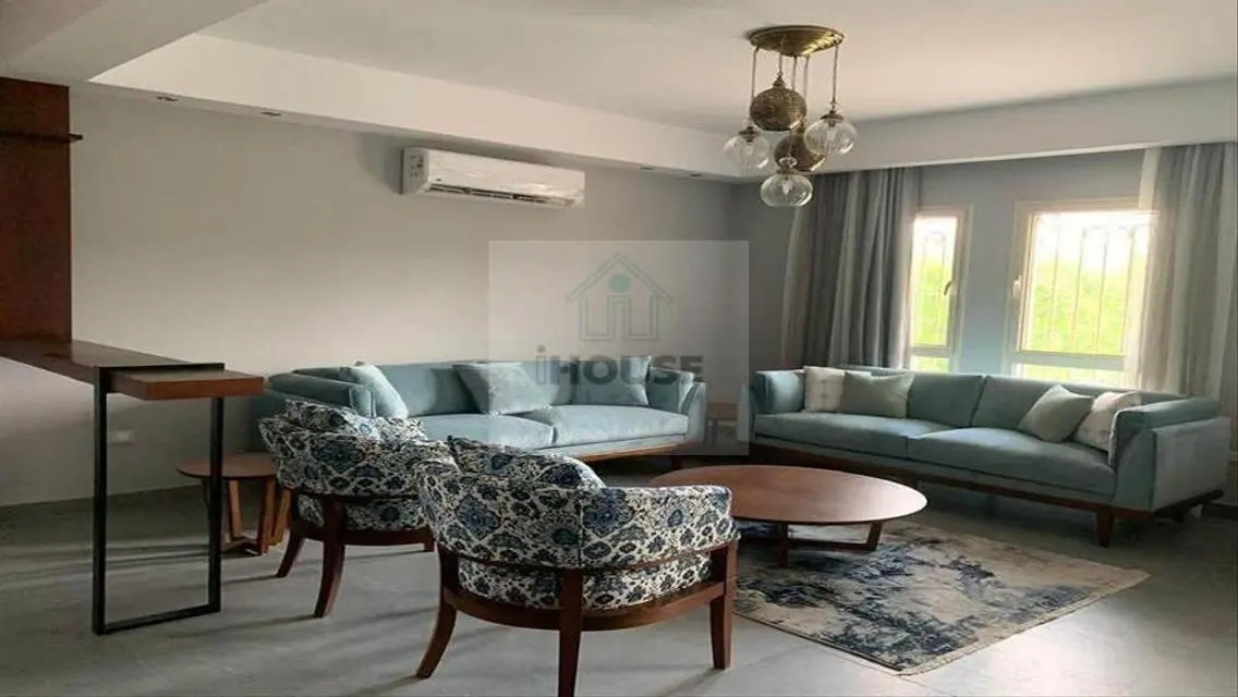 fully furnished twin house in Greens compound