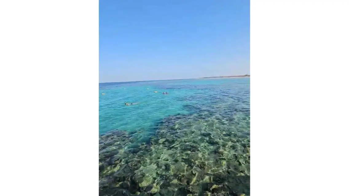 امتلك شالية في اول كمبوند بسهل حشيش شالية متشطب