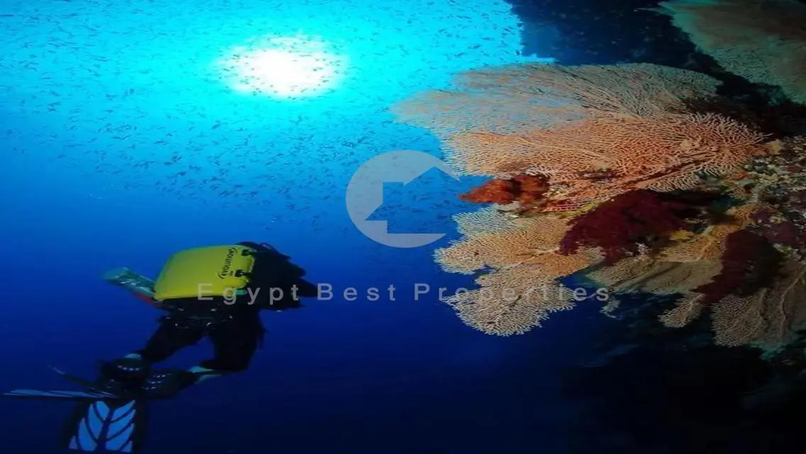 شاليه بجاردن للبيع بالتقسيط في سوما باي الغردقة