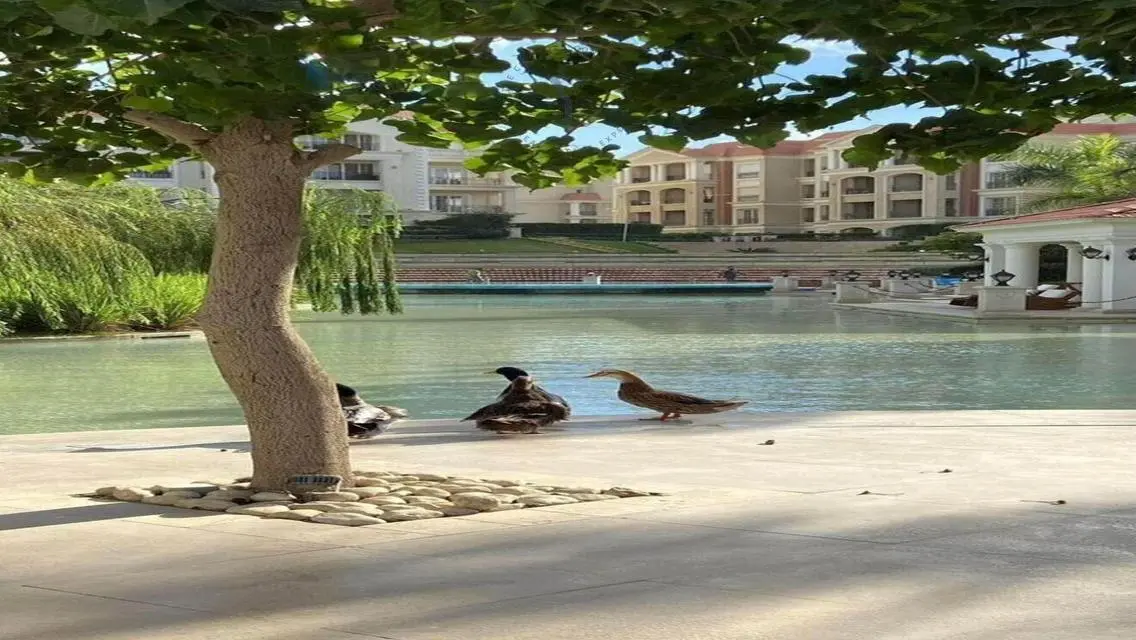 استديو متشطب للبيع بخطة دفع مميزة سعر اقل من ماركت