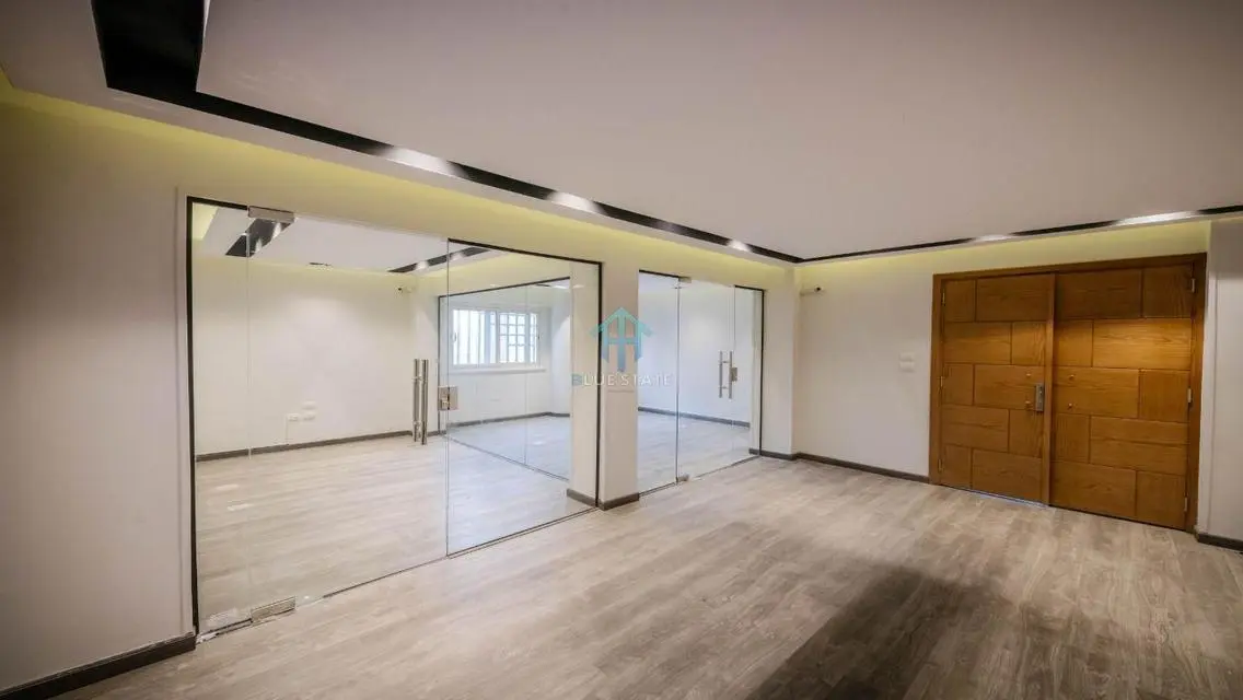 Luxurious Apartment with 350 sqm in the City Center