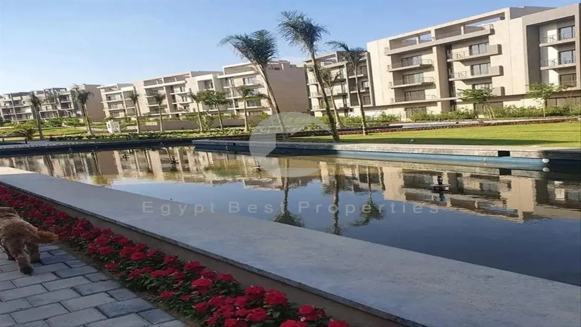 Apartment Fully Finished R.T.M In Golden Square