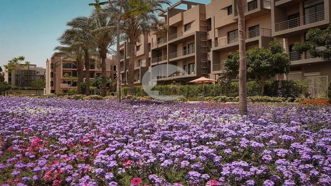 al marasem apartment for sale in egypt