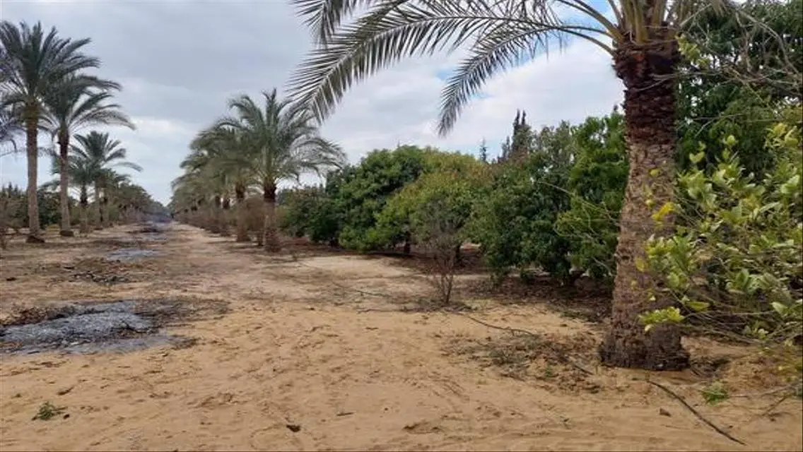 ارض للبيع العبور جمعية احمد عرابي