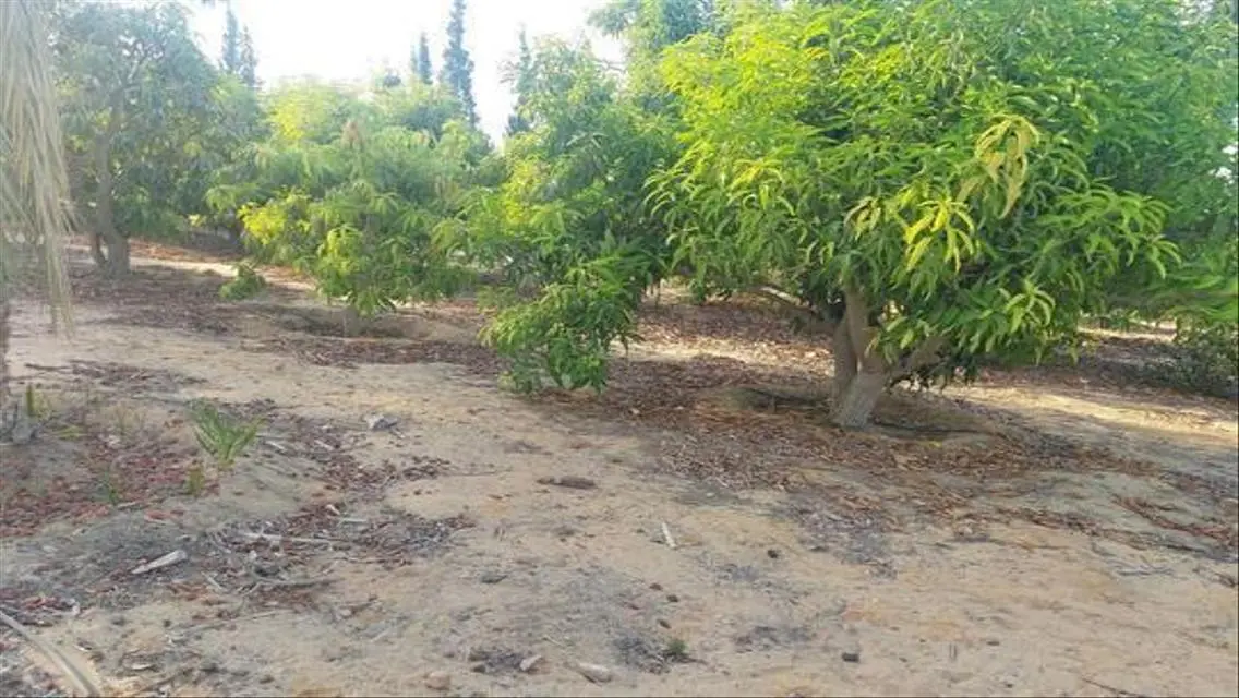 ارض للبيع العبور جمعية احمد عرابي