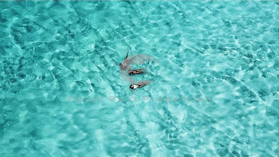شاليه ستوديو مراسي للبيع بأقل من سعر السوق