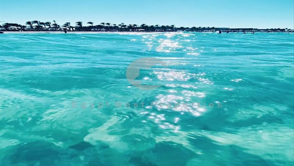 شاليه ستوديو مراسي للبيع بأقل من سعر السوق