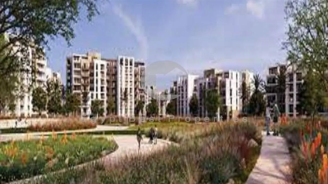 Golden Opportunity! Zed East 3-Bed Resale