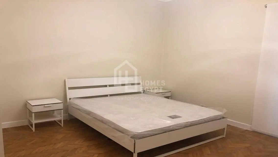 Recently Renovated Apartment in South Zamalek
