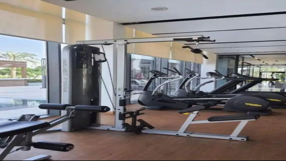 Modern furnished apartment in Cairo Festival City