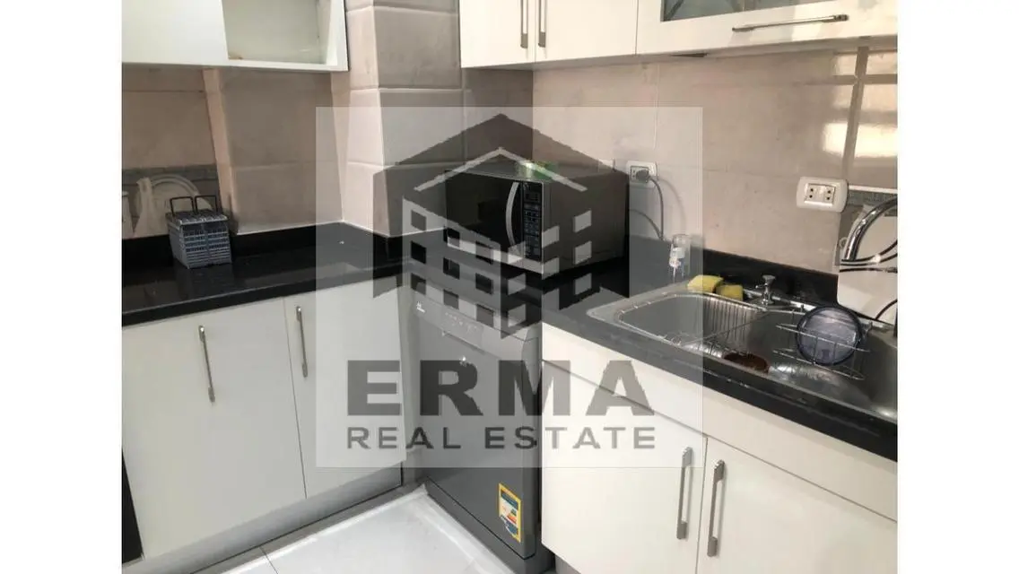 Apartment with garden for rent in Villette Sky