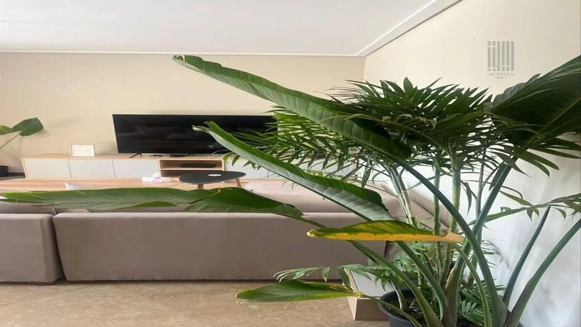 Ground Apartment for Rent in Westridge
