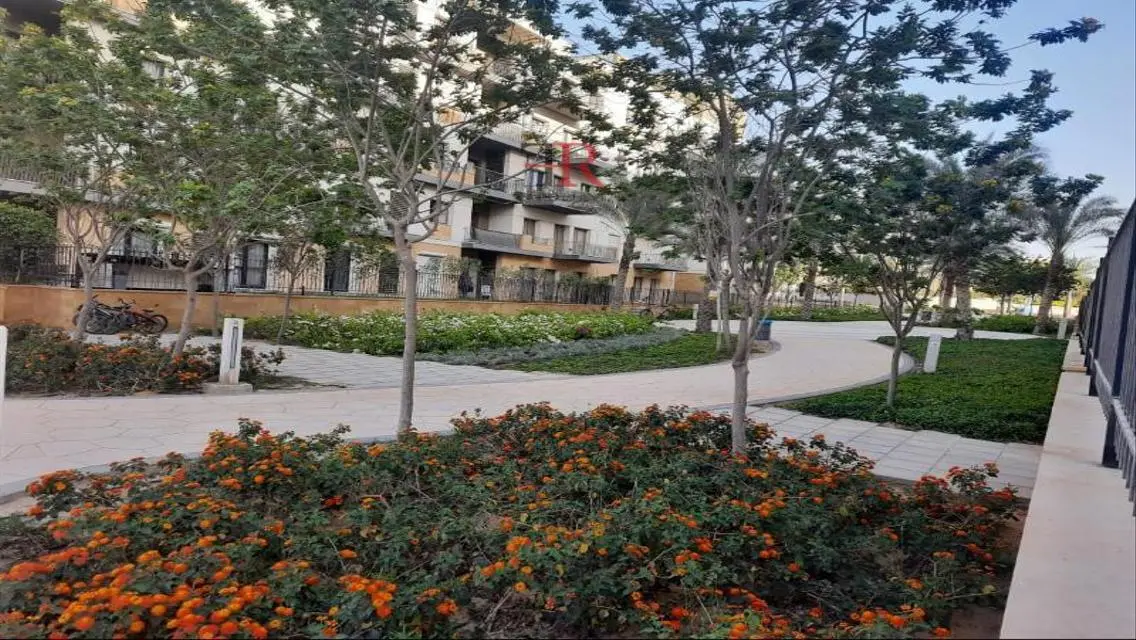 Below Market Price Apartment For Rent Eastown